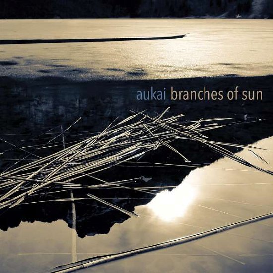 Cover for Aukai · Branches Of Sun (CD) (2021)
