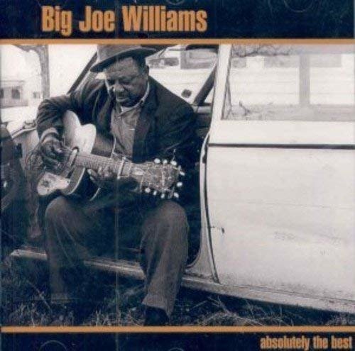 Cover for Big Joe Williams · Absolutely the Best (CD) (2001)