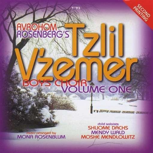 Cover for Tzlil V'zemer Boys Choir · Vol. 1 (CD) (2010)