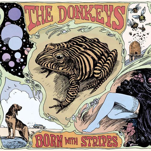 Born With Stripes - Donkeys - Musiikki - DEAD OCEANS - 0656605134727 - maanantai 25. huhtikuuta 2011