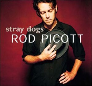 Rod Picott · Stray Dogs (CD) [Digipak] (2002)