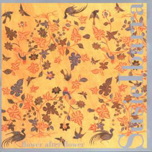 Cover for Susie Ibarra · Flower After Flower (CD) (2000)