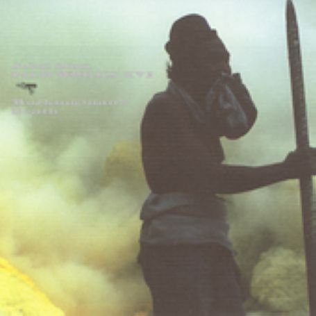 Cover for John Zorn · Filmworks Xvi: Workingman's Death (CD) (2023)