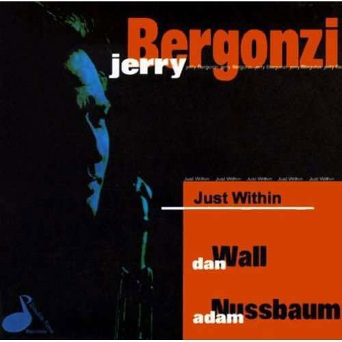 Just Within - Jerry Bergonzi - Muzyka - Double Time Jazz - 0711527012727 - 26 sierpnia 1997