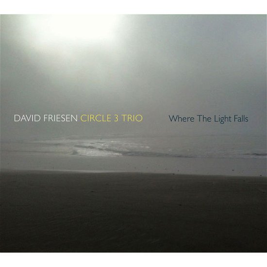 Cover for David -Circle 3 Trio- Friesen · Where The Lights Fall (CD) (2014)
