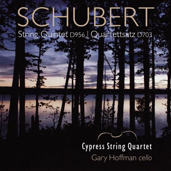 Cover for Franz Schubert · String Quartet Quartettsatz (CD) (2019)
