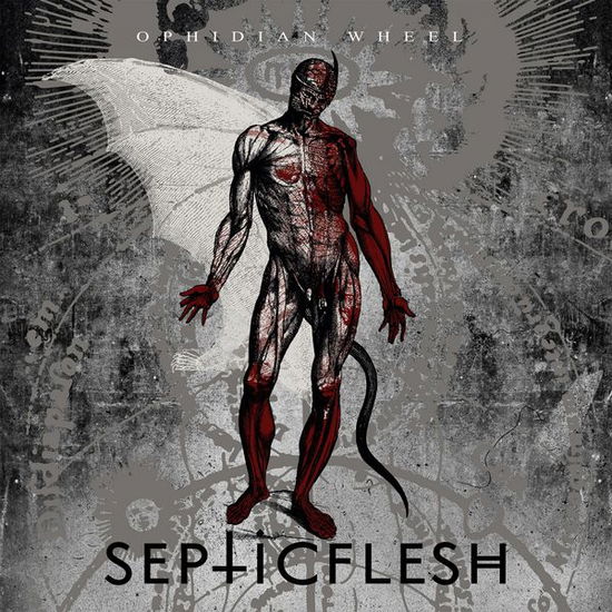 Cover for Septic Flesh · Ophidian Wheel (CD) [Reissue edition] [Digipak] (2013)