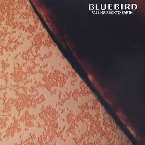 Bluebird - Falling Back to Earth (Obs) (Cd) - Bluebird - Music -  - 0827091005727 - 