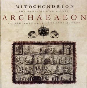 Cover for Mitochondrion · Archaeaeon (CD) (2011)