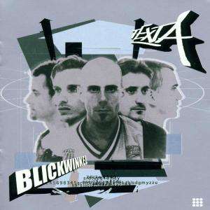 Blickwinkel - Texta - Musik - Indigo - 4015698061727 - 