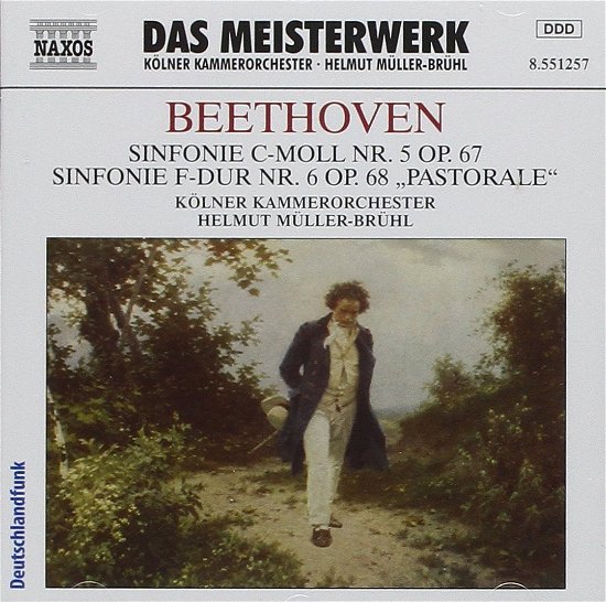 * Sinfonie 5+6 - Müller-brühl,helmut / Kko - Muziek - Naxos - 4891030515727 - 2 januari 2007