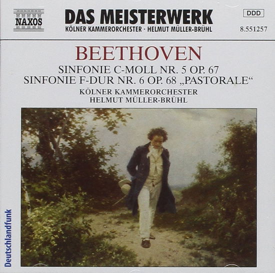 * Sinfonie 5+6 - Müller-brühl,helmut / Kko - Musiikki - Naxos - 4891030515727 - tiistai 2. tammikuuta 2007