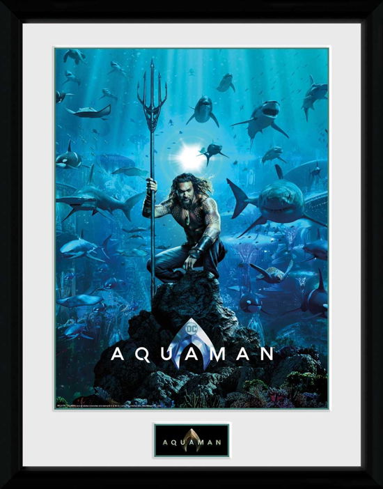 Cover for Dc Comics: Aquaman · Dc Comics: Aquaman - One Sheet (Stampa In Cornice 30x40cm) (Toys)