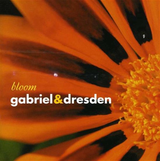 Bloom - Gabriel & Dresden - Music - NETWERK - 5037703036727 - September 20, 2004