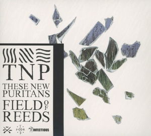 Cover for These New Puritans · Field of Reeds (CD) [Limited edition] (2013)