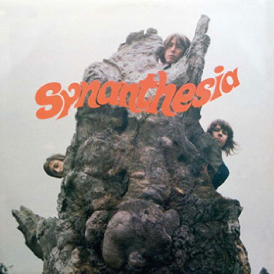 Cover for Synanthesia (LP) [High quality vinyl edition] (2006)