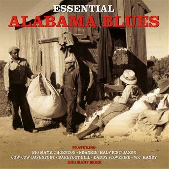 Essential Alabama Blues - V/A - Musik - NOT NOW - 5060143494727 - 11 december 2012