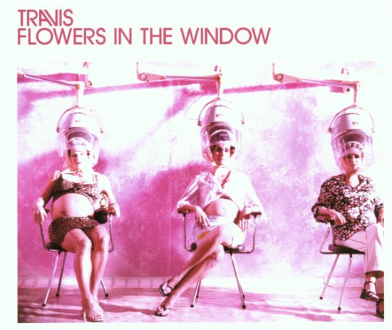 Cover for Travis · Flowers In The Wind (CD)