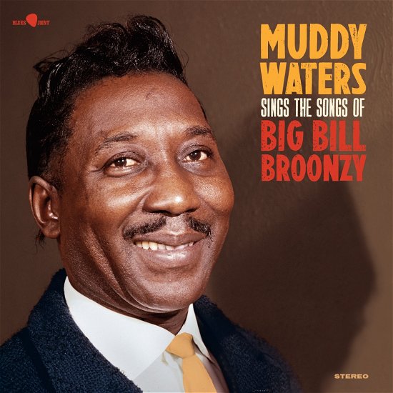 Sings Big Bill - Muddy Waters - Musiikki - BLUES JOINT - 8436563184727 - perjantai 24. marraskuuta 2023