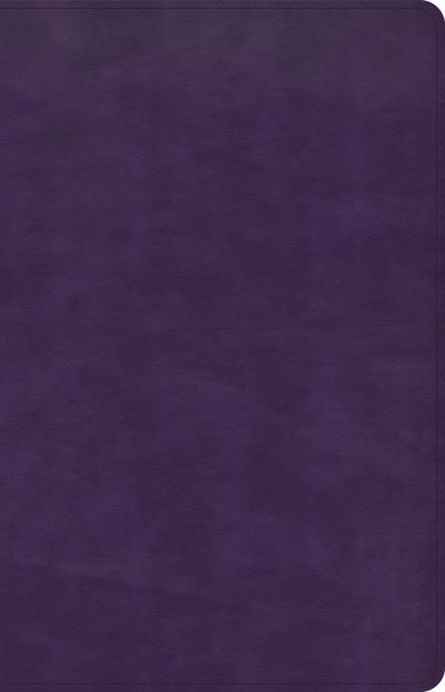 Cover for C. S. B. Bibles CSB Bibles by Holman · CSB Thinline Bible, Plum LeatherTouch (Book) (2022)