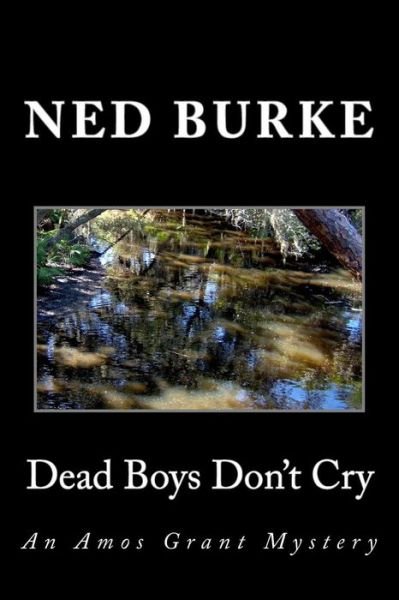 Cover for Ned Burke · Dead Boys Don't Cry: an Amos Grant Mystery (Paperback Bog) (2015)