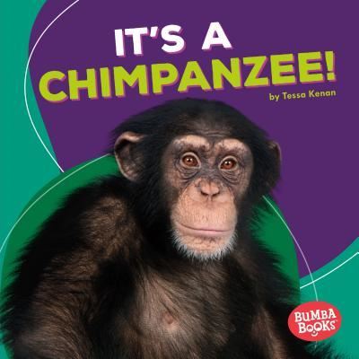 Cover for Tessa Kenan · It's a Chimpanzee! (Book) (2017)