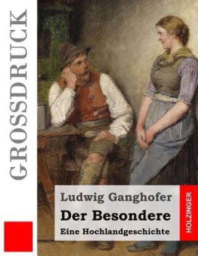 Cover for Ludwig Ganghofer · Der Besondere (Paperback Bog) (2016)