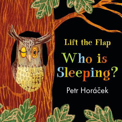 Cover for Petr Horacek · Who Is Sleeping? (Tavlebog) (2019)