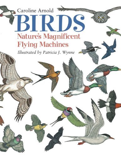 Cover for Caroline Arnold · Birds: Nature's Magnificent Flying Machines (Taschenbuch) (2003)