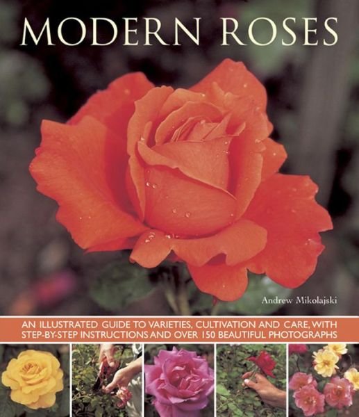 Cover for Andrew Mikolajski · Modern Roses (Taschenbuch) (2013)
