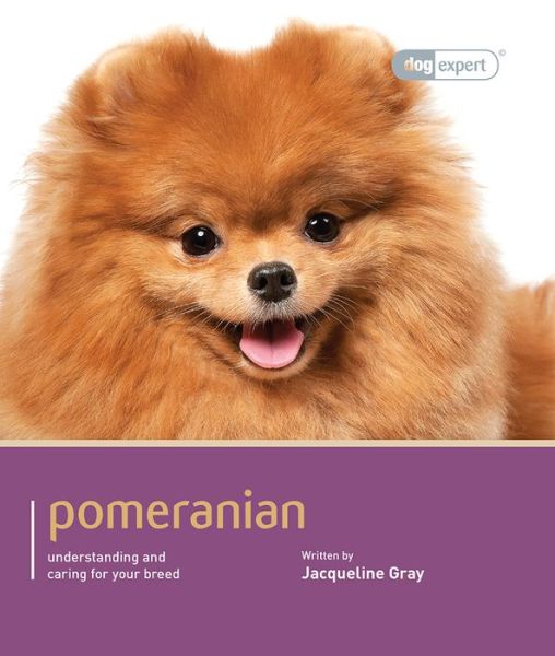 Cover for Jacqueline Gray · Pomeranian - Dog Expert (Paperback Book) (2013)