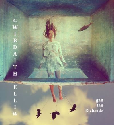 Cover for Ian Richards · Gwibdaith Elliw (Paperback Book) (2023)