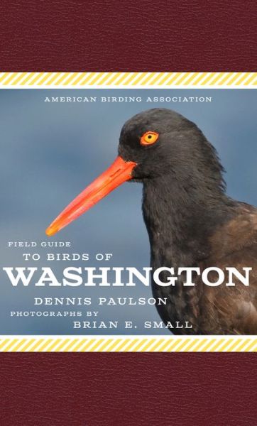 Cover for Dennis Paulson · American Birding Association Field Guide to Birds of Washington - American Birding Association State Field (Paperback Book) (2020)