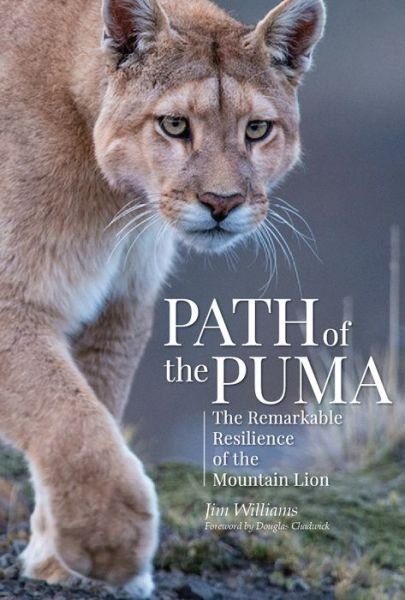 Cover for Jim Williams · Path of the Puma: The Remarkable Resilience of the Mountain Lion (Inbunden Bok) (2018)