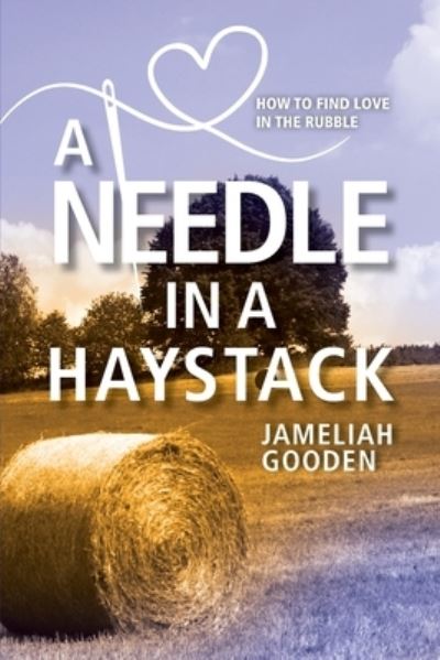 Cover for Jameliah Gooden · A Needle in a Haystack (Paperback Book) (2021)