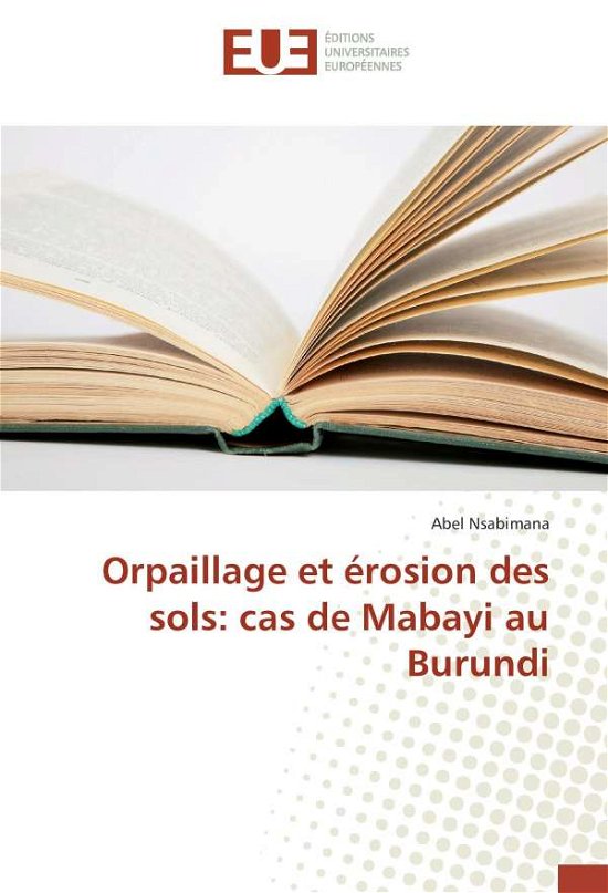 Cover for Nsabimana · Orpaillage et érosion des sol (Book)
