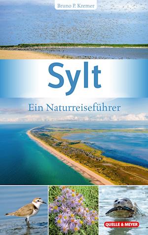 Cover for Bruno P. Kremer · Sylt (Book) (2023)