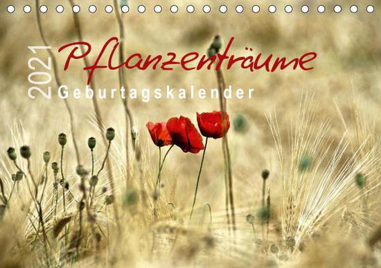 Cover for Düll · Pflanzenträume / Geburtstagskalend (Bok)