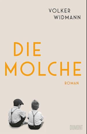 Cover for Volker Widmann · Die Molche (Hardcover Book) (2022)