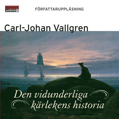 Cover for Carl-Johan Vallgren · Den vidunderliga kärlekens historia (Audiobook (MP3)) (2007)