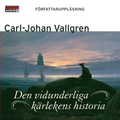 Den vidunderliga kärlekens historia - Carl-Johan Vallgren - Audiobook - Bonnier Audio - 9789173480727 - 5 listopada 2007