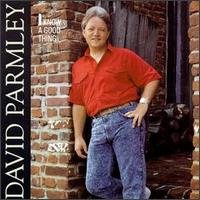 Cover for Parmley David · I Know a Good Thing (CD) (2000)