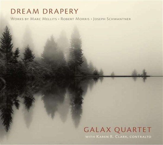 Cover for Mellits / Galax Quartet / Clark · Dream Drapery (CD) (2020)