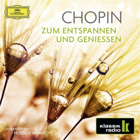 Cover for Chopin F. · Zum Entspannen Und Genies (CD) (2020)