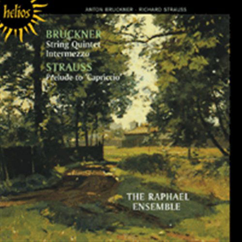 Cover for Raphael Ensemble · Brucknerstring Quintetstraussprelude (CD) (2011)