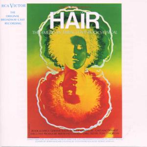 Cover for David Yazbek · Hair (CD) (2000)