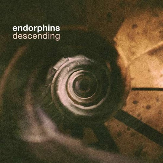 Cover for Endorphins · Descending (CD) (2021)