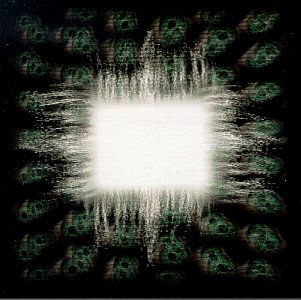 Cover for Tool · Aenima (CD) (1996)