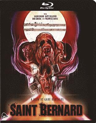 Cover for Saint Bernard (Blu-ray) (2019)