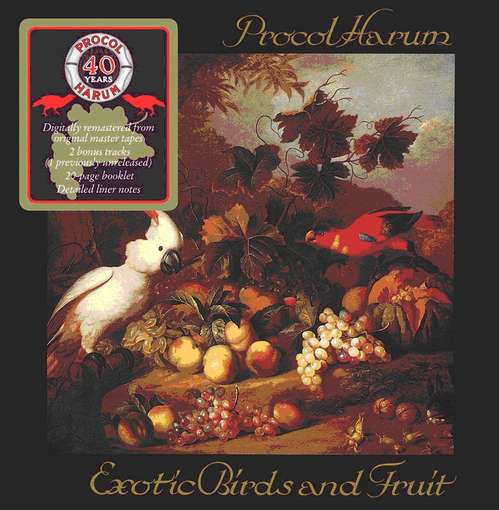 Exotic Birds and Fruit - Procol Harum - Musik - Salvo - 0698458812728 - 9. November 2009